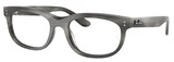 Ray-Ban Eyeglasses RX5489F 8400