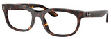 Ray-Ban Eyeglasses RX5489F 2012
