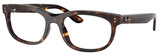 Ray-Ban Eyeglasses RX5489 2012