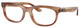 Striped Brown / Clear