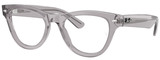 Ray-Ban Eyeglasses RX5510 2102