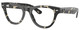 Grey Tortoise / Clear