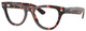 Pink Tortoise / Clear