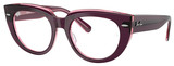 Ray-Ban Eyeglasses RX5586 8364