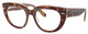 Lt Havana On Multicolor / Clear