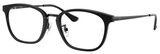 Ray-Ban Eyeglasses RX7247D 2000