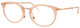 Transparent Beige / Clear