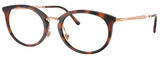 Ray-Ban Eyeglasses RX7255 5687