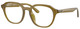 Transparent Olive Green / Clear