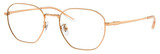 Ray-Ban Eyeglasses RX8777D 1248