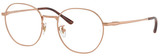 Ray-Ban Eyeglasses RX8778D 1245