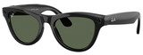 Ray-Ban Sunglasses RW4010 Skyler 601/71