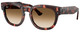 Pink Havana / Clear Grad Brown