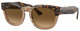 Havana On Transp Brown / Brown