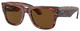 Striped Havana / Brown
