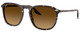 Havana Yellow Turtle / Grad Brown