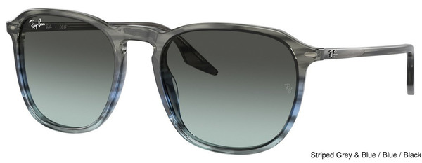 Ray-Ban Sunglasses RB2203 1391GK