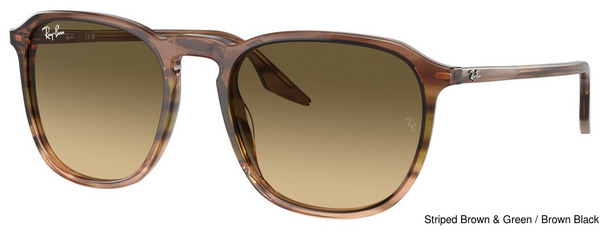 Ray-Ban Sunglasses RB2203 13920A