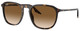 Havana / Light Brown