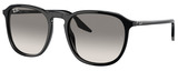 Ray-Ban Sunglasses RB2203 901/32