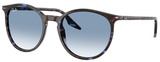 Ray-Ban Sunglasses RB2204 14303F