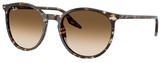Ray-Ban Sunglasses RB2204 143151
