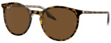 Ray-Ban Sunglasses RB2204 139357