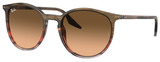 Ray-Ban Sunglasses RB2204 13953B