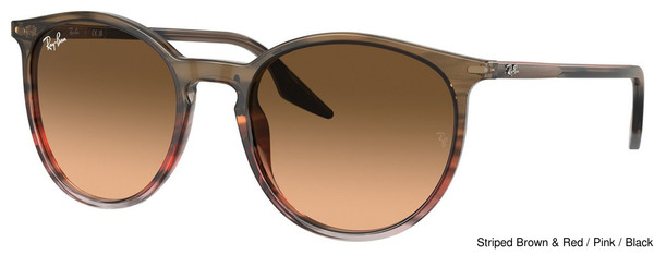 Ray-Ban Sunglasses RB2204 13953B