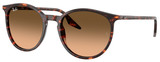 Ray-Ban Sunglasses RB2204 14293B