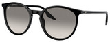 Ray-Ban Sunglasses RB2204 901/32