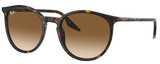 Ray-Ban Sunglasses RB2204 902/51