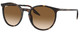 Havana / Light Brown