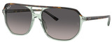 Ray-Ban Sunglasses RB2205 Bill One 1376M3