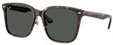 Ray-Ban Sunglasses RB2206D 710/87