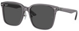 Ray-Ban Sunglasses RB2206D 139987