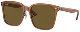 Ray-Ban Sunglasses RB2206D 663673
