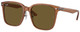 Transparent Brown / Dark Brown
