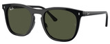 Ray-Ban Sunglasses RB2210F 901/31