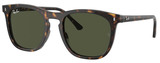 Ray-Ban Sunglasses RB2210F 902/31