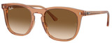 Ray-Ban Sunglasses RB2210F 676451
