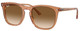 Transparent Brown / Clear & Brown