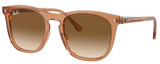 Ray-Ban Sunglasses RB2210 676451