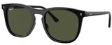 Ray-Ban Sunglasses RB2210 901/31
