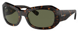 Ray-Ban Sunglasses RB2212 902/58