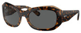 Ray-Ban Sunglasses RB2212 1292B1