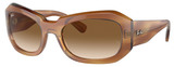 Ray-Ban Sunglasses RB2212 140351