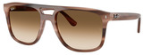 Ray-Ban Sunglasses RB2213 142351