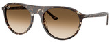 Ray-Ban Sunglasses RB2215F 143151