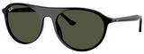 Ray-Ban Sunglasses RB2215F 901/31